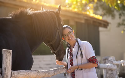 Large Animals Vets Newcastle